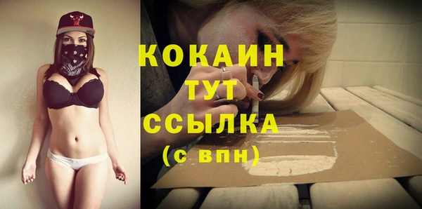 PSILOCYBIN Верхний Тагил