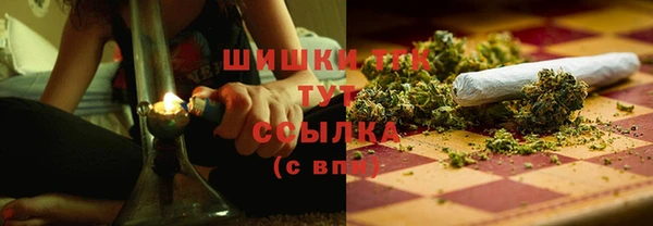шишки Верея