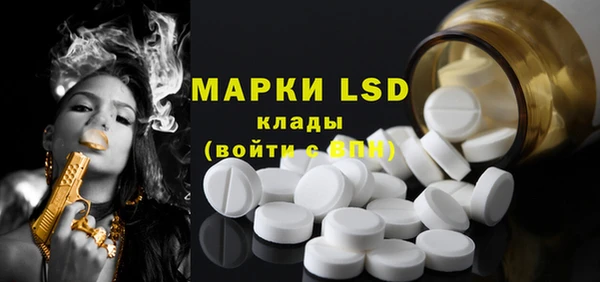 шишки Верея