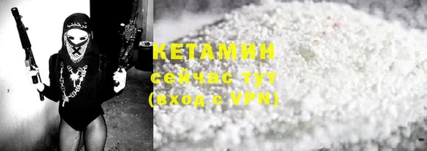 шишки Верея