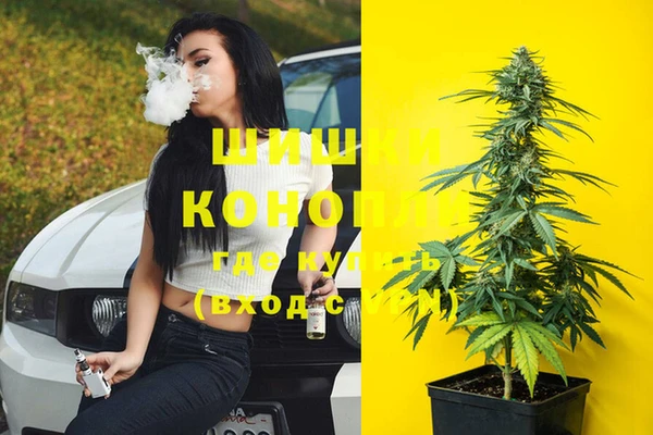 шишки Верхнеуральск