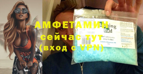 шишки Верея