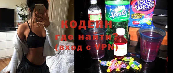 шишки Верея