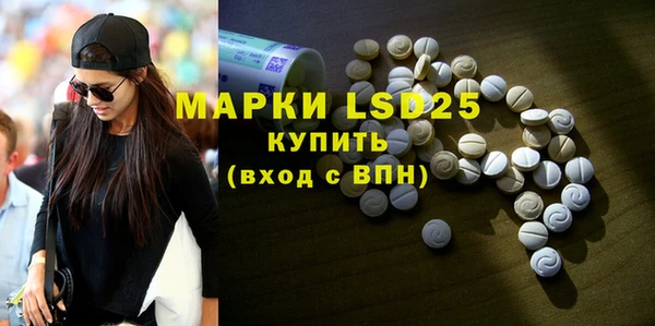 PSILOCYBIN Верхний Тагил