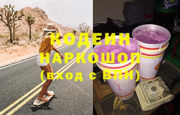 шишки Верея