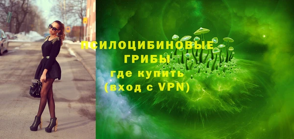 шишки Верхнеуральск