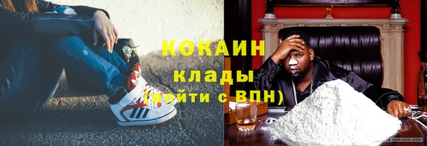 шишки Тобольск